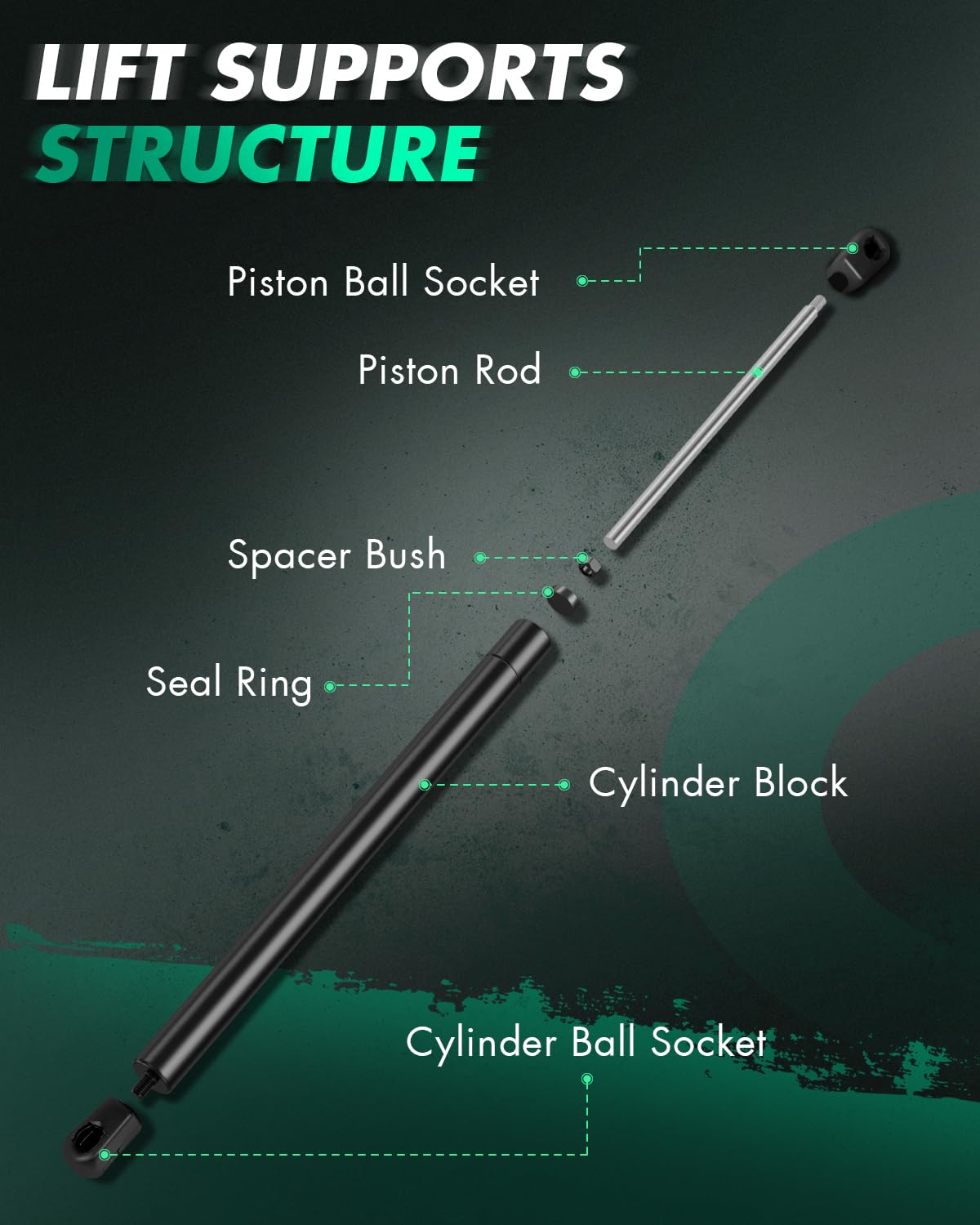 SCITOO struts next to ruler showing length for correct fit confirmation