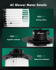 SCITOO motor connector detail showing two-pin female plug for easy connection
