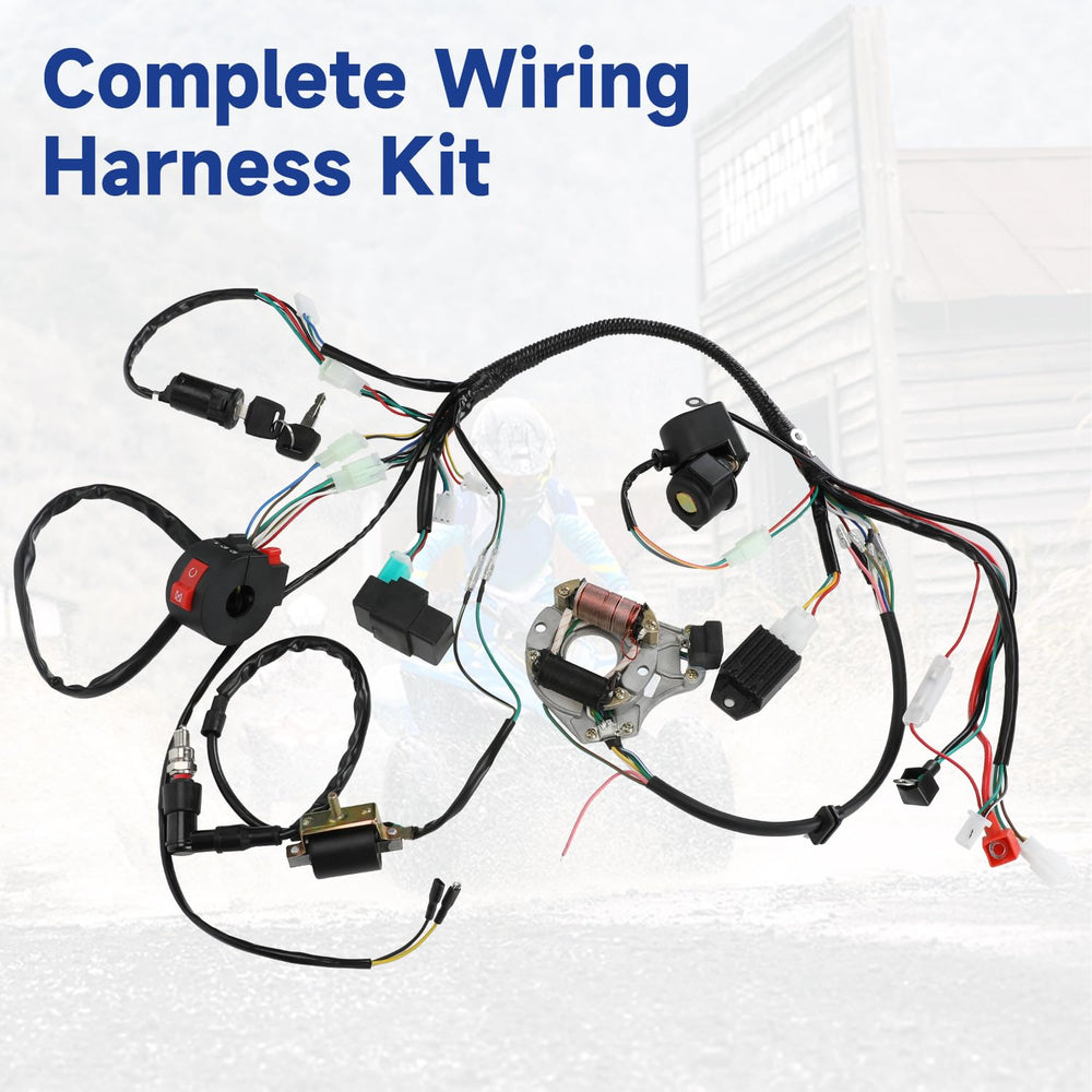 SHIQINHA wiring harness layout showing organized connectors for easier repairs