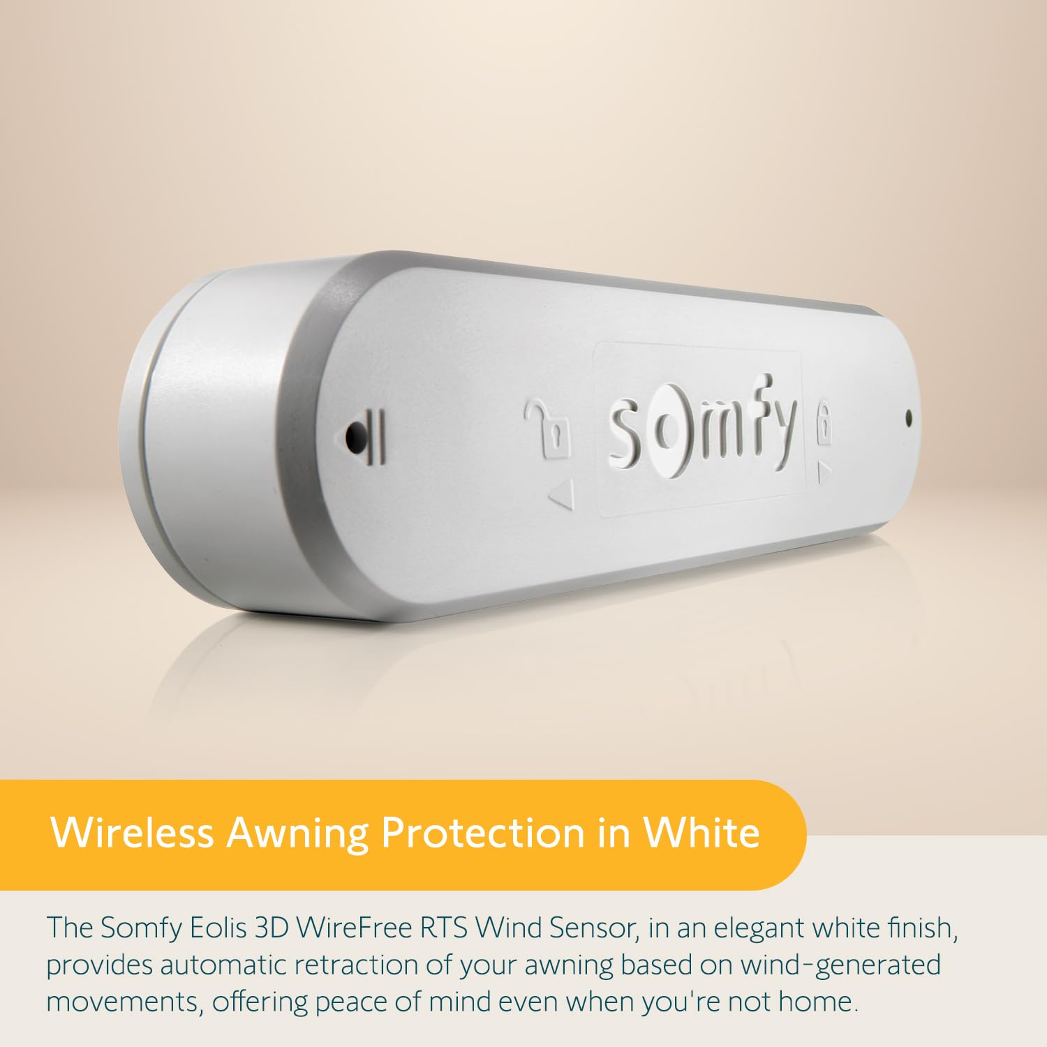 somfy Eolis 3D close-up of sensor detail highlighting durable construction and clear motion ports