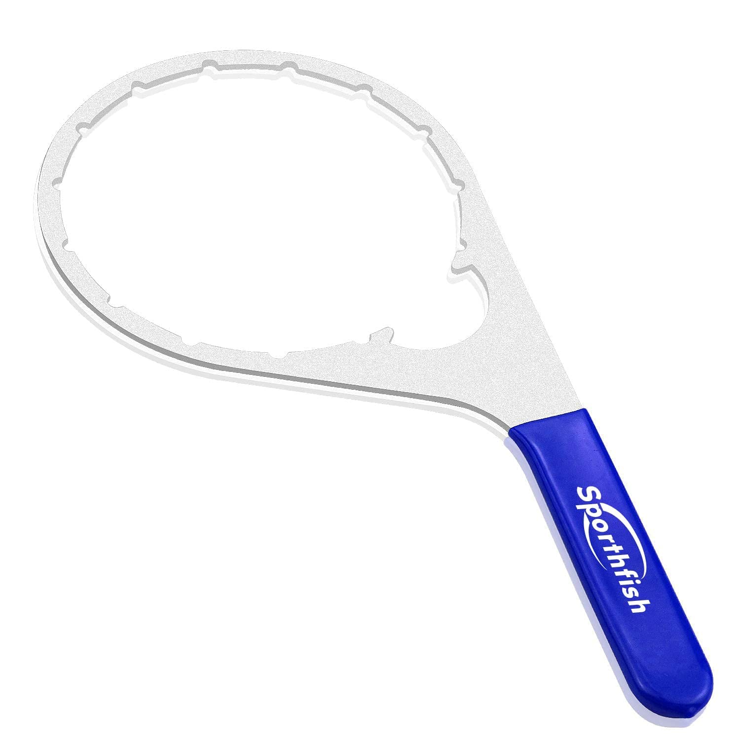 Sporthfish size comparison beside ruler shows true 6‑inch ID for correct selection