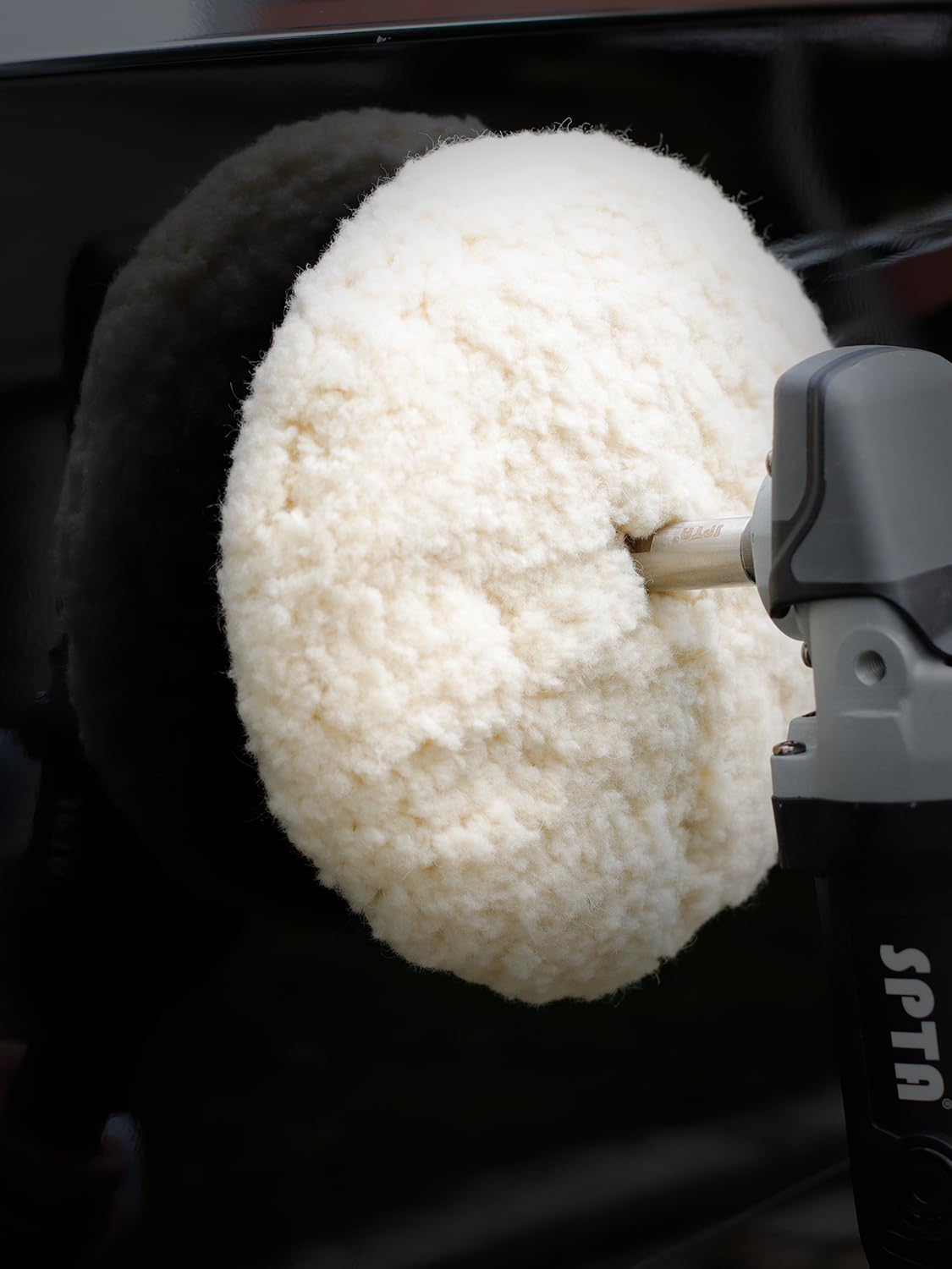 SPTA wool pad held in hand for scale showing compact professional 7-inch size