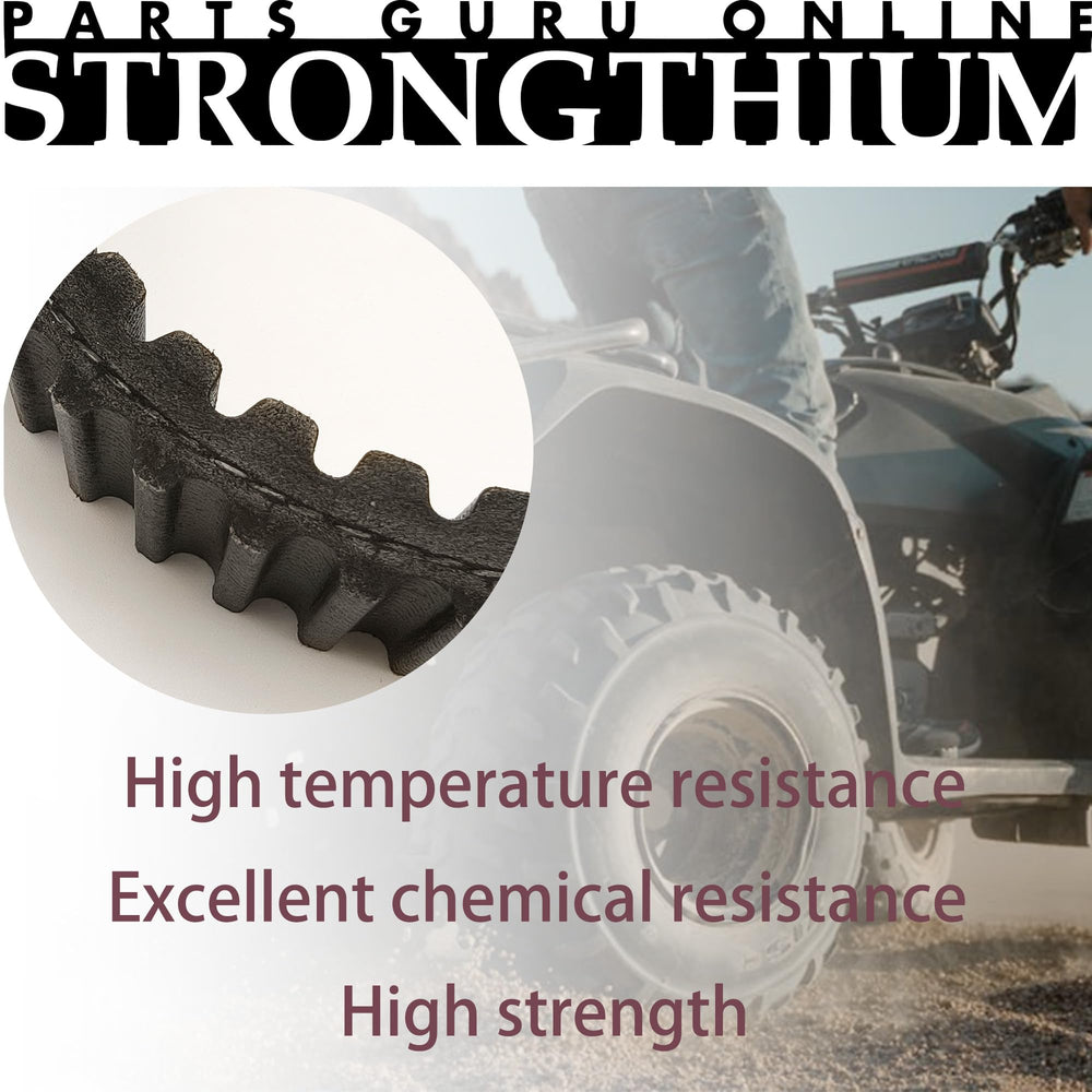 Strongthium belt next to ruler size comparison showing correct dimensions and fit verification