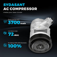 Sydasant mounting points detail showing bolt patterns for direct-fit confidence