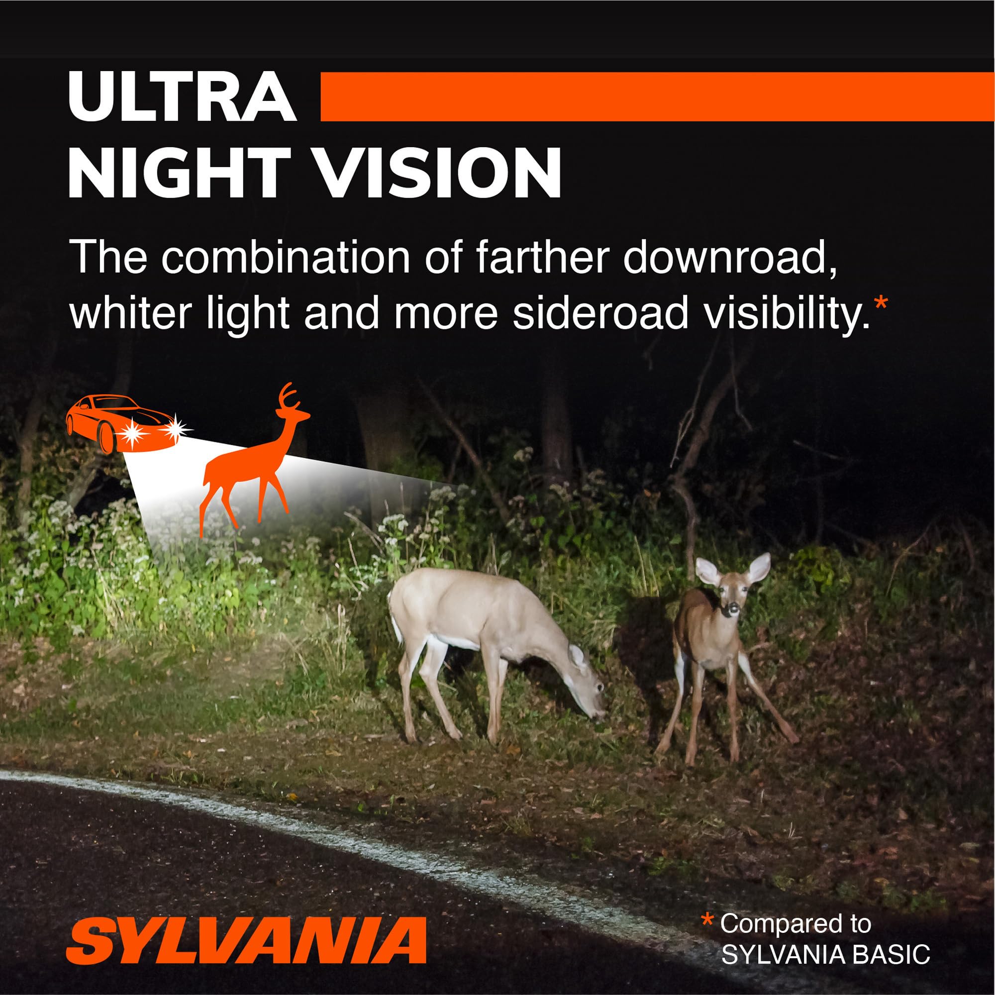 SYLVANIA nighttime road scene showing improved visibility