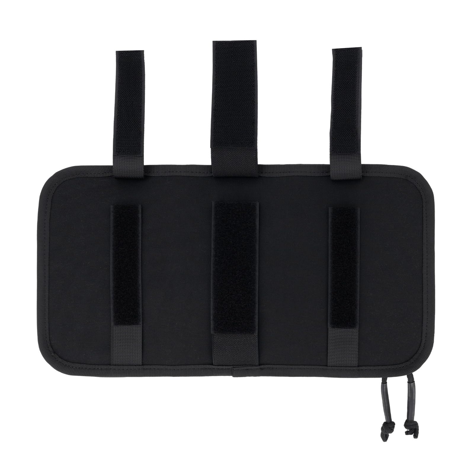 TACNEX organizer installed on driver-side visor for convenient access while driving