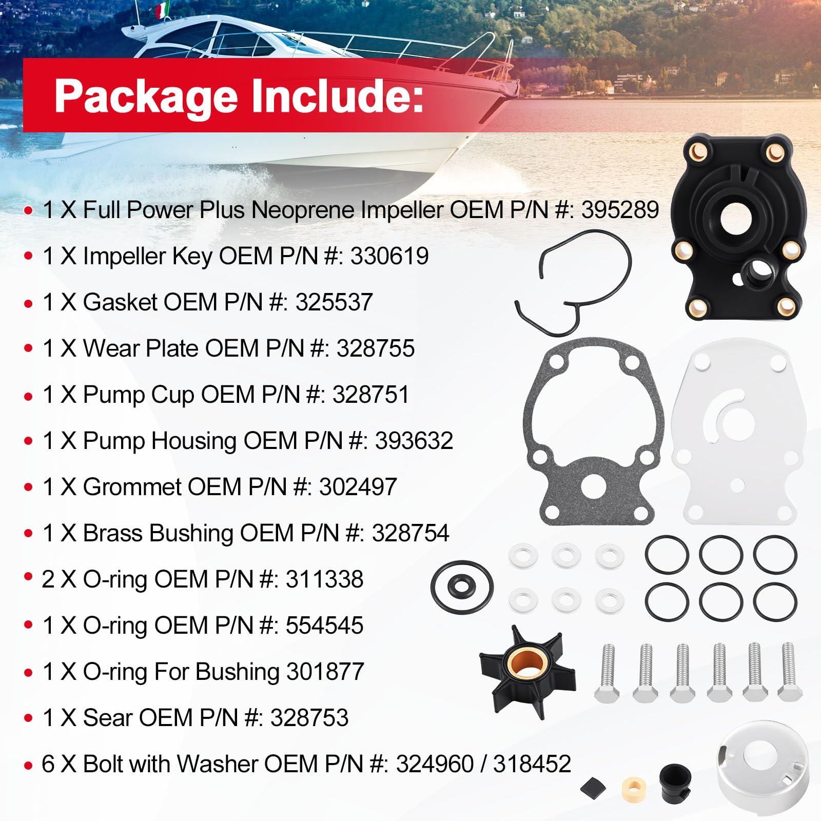 Tutor Auto gasket and O-ring set staged to show proper sealing and leak prevention