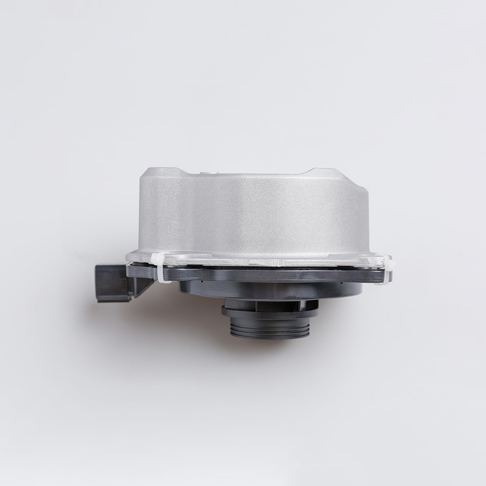 Tykick dimensions and scale beside ruler for accurate size verification
