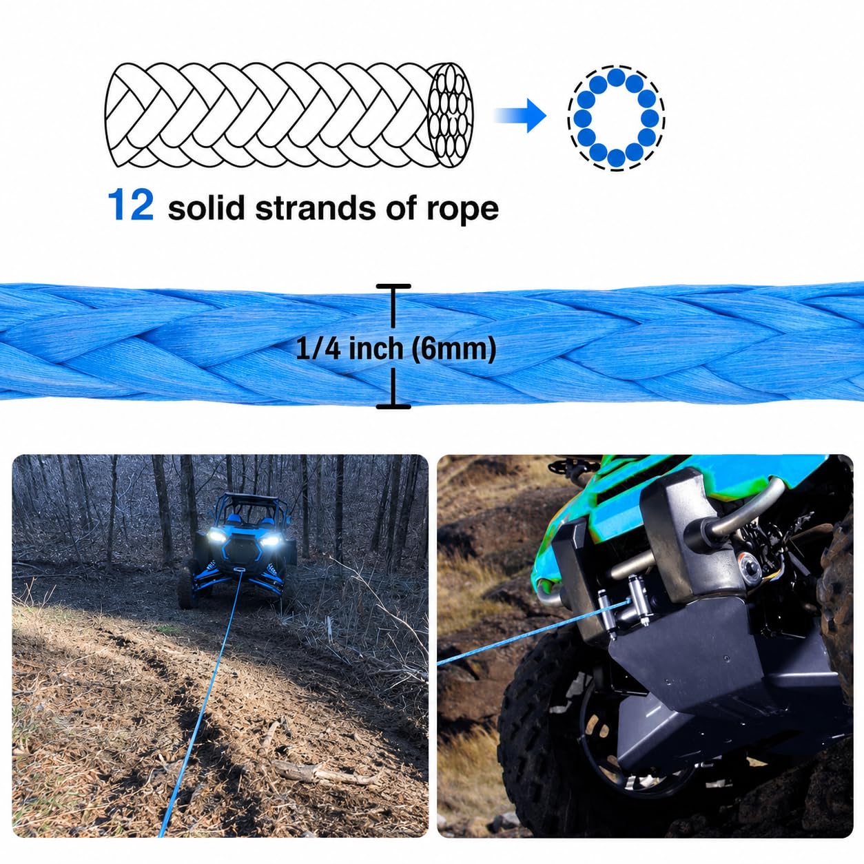 Ucreative coiled 50ft rope beside a tape measure showing length and scale