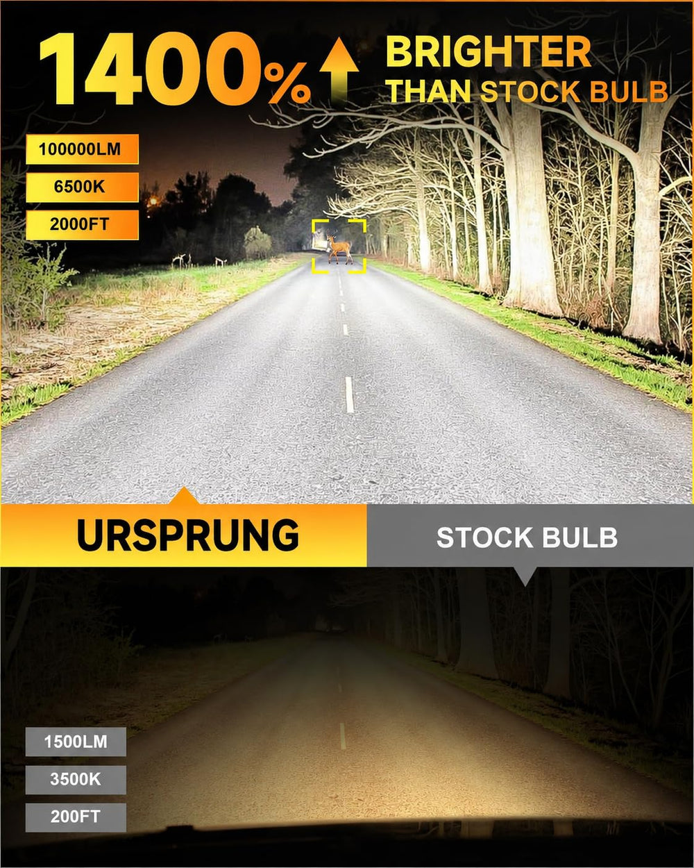 ursprung H11 beside halogen bulb showing compact, halogen-compatible size