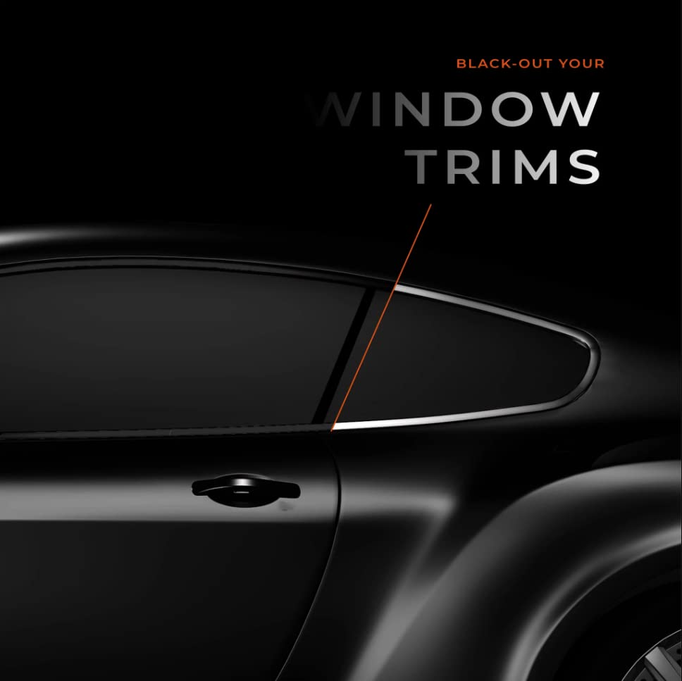 VViViD finished interior accent strip showing clean professional look