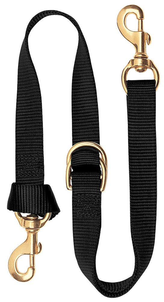 Weaver Equine nylon tie down front view showing brass hardware and adjustable dees